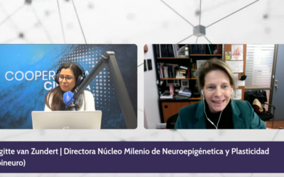 Entrevista | Dra. Brigitte van Zundert, neurocientífica: “La memoria es algo crítico para todos los animales”