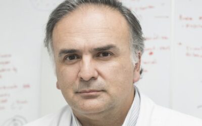 Martín Montecino es postulado al Premio Nacional de Ciencias Naturales por su trayectoria y aporte al desarrollo de la biología molecular en Chile